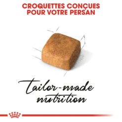 Royal Canin - Croquettes Persian Kitten Pour Chatons - 2Kg 10 Royal Canin - Croquettes Persian Kitten Pour Chatons - 2Kg -Chats Chiens Articles Magasin 74373