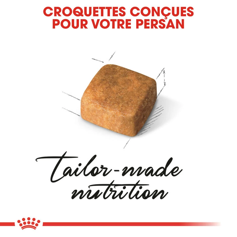Royal Canin - Croquettes Persian Kitten Pour Chatons - 2Kg 6 Royal Canin - Croquettes Persian Kitten Pour Chatons - 2Kg – Image 4