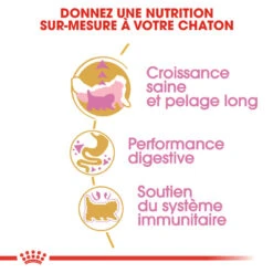 Royal Canin - Croquettes Persian Kitten Pour Chatons - 2Kg 9 Royal Canin - Croquettes Persian Kitten Pour Chatons - 2Kg -Chats Chiens Articles Magasin 74374