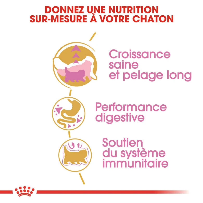 Royal Canin - Croquettes Persian Kitten Pour Chatons - 2Kg 5 Royal Canin - Croquettes Persian Kitten Pour Chatons - 2Kg – Image 3