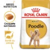 Royal Canin - Croquettes Poodle Adult Caniche Pour Chien - 1,5Kg