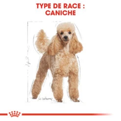 Meilleures ventes -Chats Chiens Articles Magasin 74391