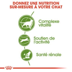 Royal Canin - Croquettes Outdoor7+ Pour Chat D'Extérieur - 10Kg -Chats Chiens Articles Magasin 74419