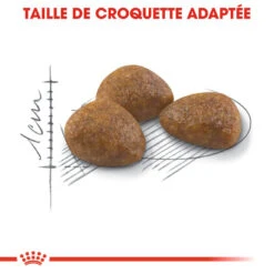 Royal Canin - Croquettes Outdoor7+ Pour Chat D'Extérieur - 10Kg -Chats Chiens Articles Magasin 74420