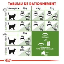 Royal Canin - Croquettes Outdoor7+ Pour Chat D'Extérieur - 10Kg -Chats Chiens Articles Magasin 74421