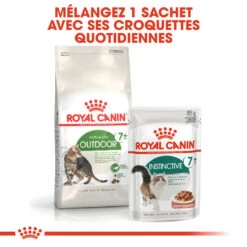 Royal Canin - Croquettes Outdoor7+ Pour Chat D'Extérieur - 10Kg -Chats Chiens Articles Magasin 74422