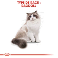 Royal Canin - Croquettes Ragdoll Adult Pour Chat - 2Kg -Chats Chiens Articles Magasin 74453