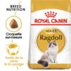Royal Canin - Croquettes Ragdoll Adult Pour Chat - 2Kg 2 Royal Canin - Croquettes Ragdoll Adult Pour Chat - 2Kg -Chats Chiens Articles Magasin 74455