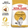 Royal Canin - Croquettes Norwegian Adult Pour Chat - 2Kg 2 Royal Canin - Croquettes Norwegian Adult Pour Chat - 2Kg -Chats Chiens Articles Magasin 74460