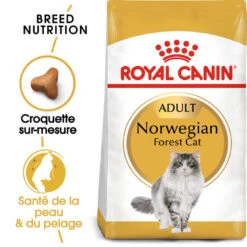 Royal Canin - Croquettes Norwegian Adult Pour Chat - 2Kg