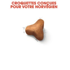 Royal Canin - Croquettes Norwegian Adult Pour Chat - 2Kg 11 Royal Canin - Croquettes Norwegian Adult Pour Chat - 2Kg -Chats Chiens Articles Magasin 74462