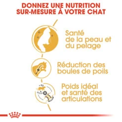 Royal Canin - Croquettes Norwegian Adult Pour Chat - 2Kg 12 Royal Canin - Croquettes Norwegian Adult Pour Chat - 2Kg -Chats Chiens Articles Magasin 74464