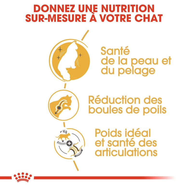 Royal Canin - Croquettes Norwegian Adult Pour Chat - 2Kg 6 Royal Canin - Croquettes Norwegian Adult Pour Chat - 2Kg – Image 4