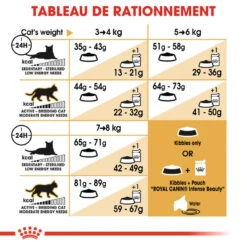 Royal Canin - Croquettes Norwegian Adult Pour Chat - 2Kg 14 Royal Canin - Croquettes Norwegian Adult Pour Chat - 2Kg -Chats Chiens Articles Magasin 74465