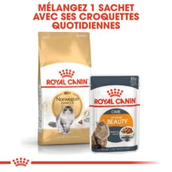 Royal Canin - Croquettes Norwegian Adult Pour Chat - 2Kg 13 Royal Canin - Croquettes Norwegian Adult Pour Chat - 2Kg -Chats Chiens Articles Magasin 74466