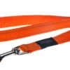 Rogz - Laisse Utility Orange Pour Chiens - 140x2cm -Chats Chiens Articles Magasin 74516