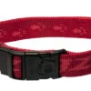 Rogz - Collier En Nylon Rouge Pour Chiens - XL 1 Rogz - Collier En Nylon Rouge Pour Chiens - XL -Chats Chiens Articles Magasin 74563