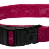 Rogz - Collier En Nylon Rose Pour Chiens - XL -Chats Chiens Articles Magasin 74565