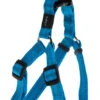 Rogz - Harnais Utility Turquoise Pour Chiens - 32x1,6cm 2 Rogz - Harnais Utility Turquoise Pour Chiens - 32x1,6cm -Chats Chiens Articles Magasin 74588