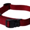 Rogz - Collier Utility Rouge Pour Chiens - 34/56x2cm 2 Rogz - Collier Utility Rouge Pour Chiens - 34/56x2cm -Chats Chiens Articles Magasin 74591