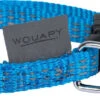 Wouapy - Kit Protect Harnais Laisse Et Collier Pour Chatons - Bleu -Chats Chiens Articles Magasin 75085