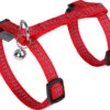 Wouapy - Harnais + Laisse Protect Avec Grelot Pour Chat - Rouge -Chats Chiens Articles Magasin 75087