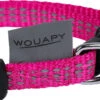 Wouapy - Kit Protect Harnais Laisse Et Collier Pour Chatons - Fuchsia -Chats Chiens Articles Magasin 75088