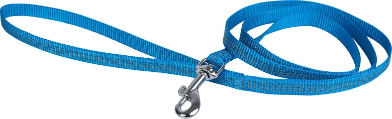 Wouapy - Kit Protect Harnais Laisse Et Collier Pour Chatons - Bleu 5 Wouapy - Kit Protect Harnais Laisse Et Collier Pour Chatons - Bleu – Image 3