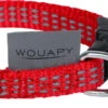 Wouapy - Kit Protect Harnais Laisse Et Collier Pour Chatons - Rouge -Chats Chiens Articles Magasin 75097