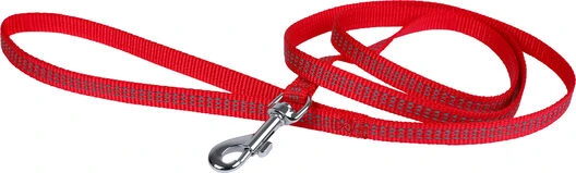 Wouapy - Kit Protect Harnais Laisse Et Collier Pour Chatons - Rouge 5 Wouapy - Kit Protect Harnais Laisse Et Collier Pour Chatons - Rouge – Image 3