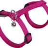 Wouapy - Harnais + Laisse Protect Avec Grelot Pour Chat - Fuchsia -Chats Chiens Articles Magasin 75104