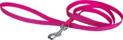 Wouapy - Harnais + Laisse Protect Avec Grelot Pour Chat - Fuchsia -Chats Chiens Articles Magasin 75105
