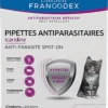 Francodex - Pipettes Antiparasitaires Icardine Pour Chatons - X4 -Chats Chiens Articles Magasin 75252