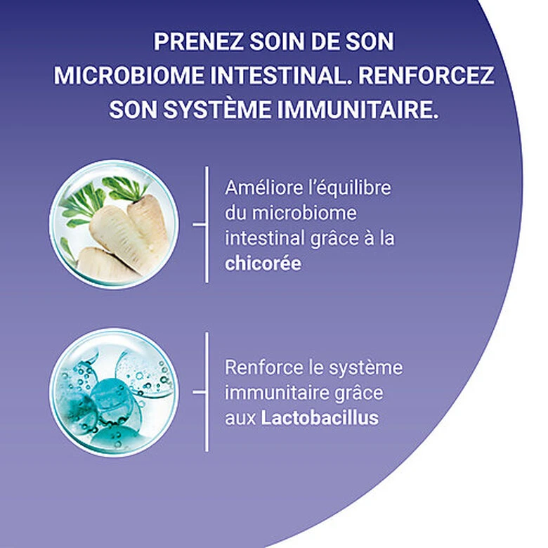 Purina One - Croquettes Adulte Bifensis Au Poulet Pour Chat - 3Kg 9 Purina One - Croquettes Adulte Bifensis Au Poulet Pour Chat - 3Kg – Image 7