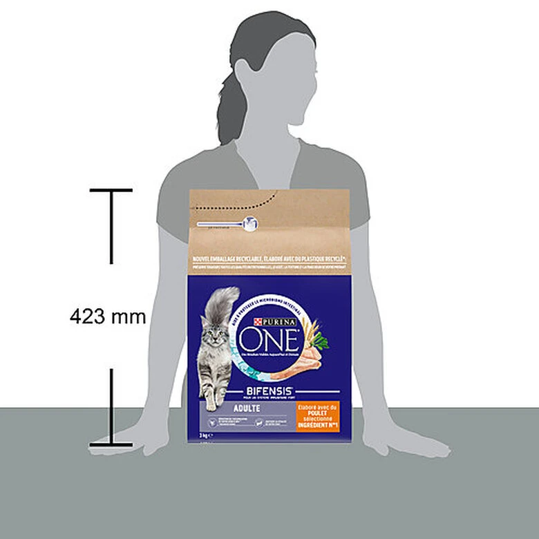 Purina One - Croquettes Adulte Bifensis Au Poulet Pour Chat - 3Kg 6 Purina One - Croquettes Adulte Bifensis Au Poulet Pour Chat - 3Kg – Image 4
