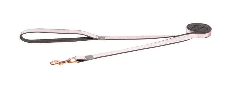 Rogz - Laisse Urban Rose Pour Chiens - M 3 Rogz - Laisse Urban Rose Pour Chiens - M