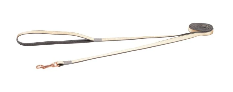 Rogz - Laisse Urban Or Pour Chiens - S 3 Rogz - Laisse Urban Or Pour Chiens - S