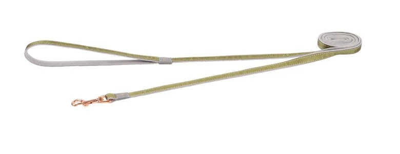 Rogz - Laisse Urban Olive Pour Chiens - S 3 Rogz - Laisse Urban Olive Pour Chiens - S