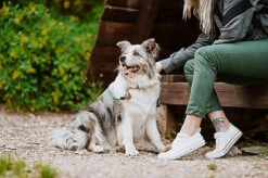 Tickless - Médaillon Ecopet Antiparasitaire Ultrason Pour Chiens Et Chats - 3,8cm 11 Tickless - Médaillon Ecopet Antiparasitaire Ultrason Pour Chiens Et Chats - 3,8cm -Chats Chiens Articles Magasin 76336