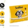 Scalibor - Collier Antiparasitaire Pour Chien -Chats Chiens Articles Magasin 76360
