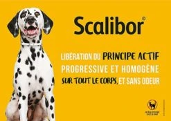 Scalibor - Collier Antiparasitaire Pour Chien 9 Scalibor - Collier Antiparasitaire Pour Chien -Chats Chiens Articles Magasin 76363