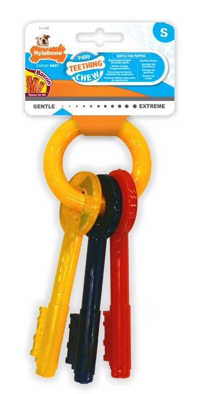 Anka - Jouet Nylabone Puppy Clefs Au Bacon Pour Chiot - S 3 Anka - Jouet Nylabone Puppy Clefs Au Bacon Pour Chiot - S