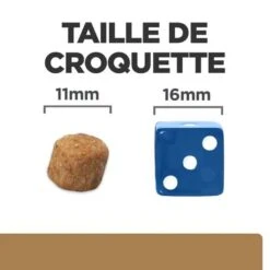 Hill's - Croquettes Prescription Diet J/D Mobility Pour Chiens - 12Kg -Chats Chiens Articles Magasin 76534