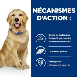 Hill's - Croquettes Prescription Diet J/D Mobility Pour Chiens - 12Kg -Chats Chiens Articles Magasin 76538