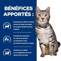 Hill's - Croquettes Prescription Diet C/D Urinary Stress Metabolic Pour Chats - 8Kg 10 Hill's - Croquettes Prescription Diet C/D Urinary Stress Metabolic Pour Chats - 8Kg -Chats Chiens Articles Magasin 76610