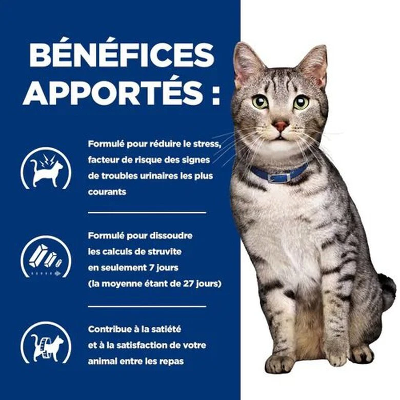 Hill's - Croquettes Prescription Diet C/D Urinary Stress Metabolic Pour Chats - 8Kg 5 Hill's - Croquettes Prescription Diet C/D Urinary Stress Metabolic Pour Chats - 8Kg – Image 3