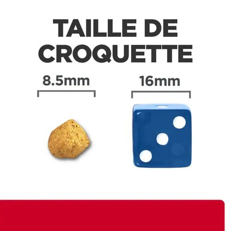 Hill's - Croquettes Prescription Diet C/D Urinary Stress Metabolic Pour Chats - 8Kg 4 Hill's - Croquettes Prescription Diet C/D Urinary Stress Metabolic Pour Chats - 8Kg – Image 2