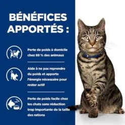 Hill's - Croquettes Prescription Diet Metabolic Pour Chats - 3Kg 12 Hill's - Croquettes Prescription Diet Metabolic Pour Chats - 3Kg -Chats Chiens Articles Magasin 76663