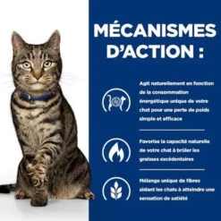 Hill's - Croquettes Prescription Diet Metabolic Pour Chats - 3Kg 13 Hill's - Croquettes Prescription Diet Metabolic Pour Chats - 3Kg -Chats Chiens Articles Magasin 76664