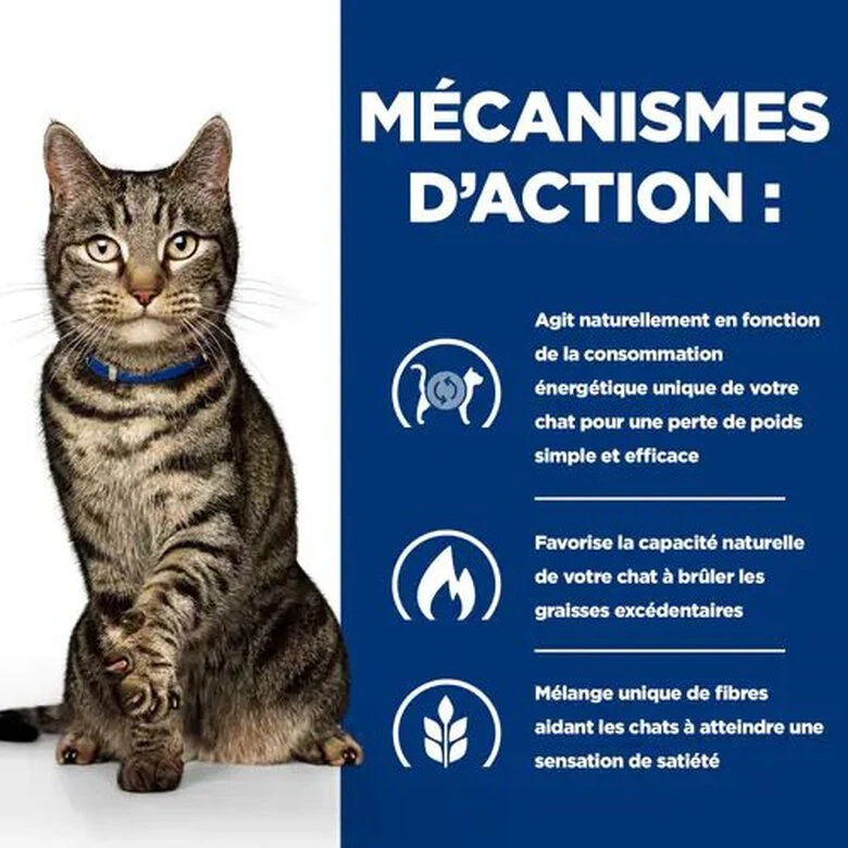 Hill's - Croquettes Prescription Diet Metabolic Pour Chats - 3Kg 7 Hill's - Croquettes Prescription Diet Metabolic Pour Chats - 3Kg – Image 5